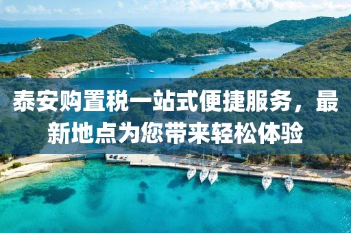 泰安購(gòu)置稅一站式便捷服務(wù)，最新地點(diǎn)為您帶來(lái)輕松體驗(yàn)