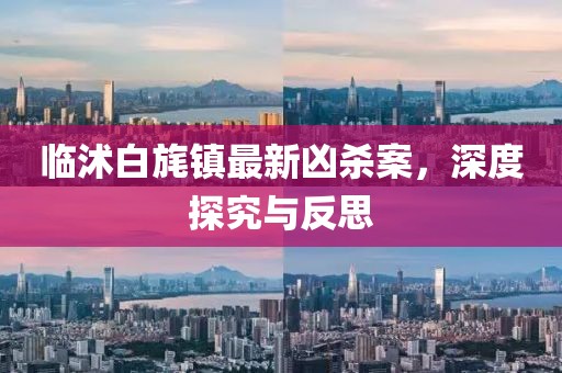 臨沭白旄鎮(zhèn)最新兇殺案，深度探究與反思