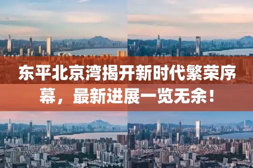 東平北京灣揭開新時代繁榮序幕，最新進(jìn)展一覽無余！