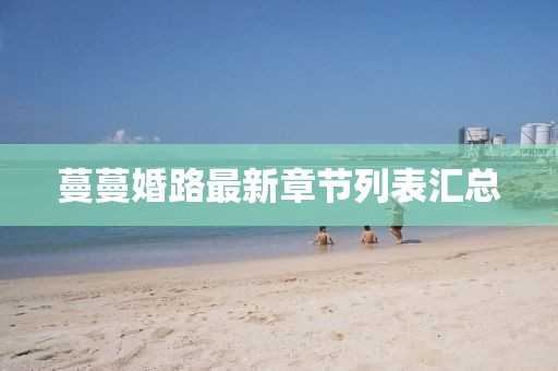 蔓蔓婚路最新章節(jié)列表匯總