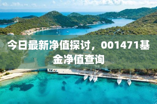 今日最新凈值探討，001471基金凈值查詢