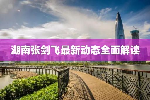 湖南張劍飛最新動態(tài)全面解讀