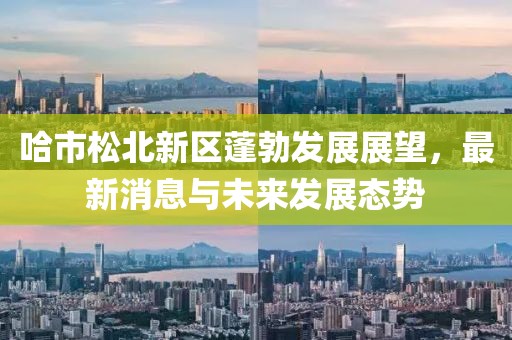 哈市松北新區(qū)蓬勃發(fā)展展望，最新消息與未來發(fā)展態(tài)勢