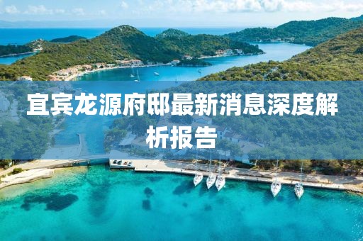宜賓龍?jiān)锤∽钚孪⑸疃冉馕鰣?bào)告