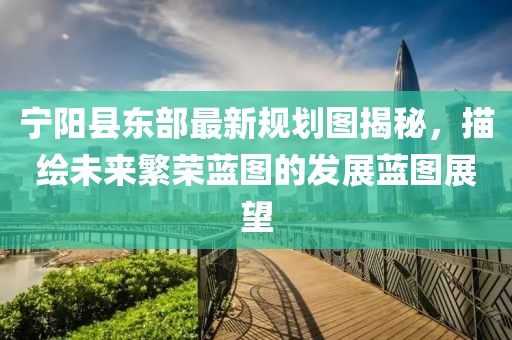 寧陽縣東部最新規(guī)劃圖揭秘，描繪未來繁榮藍圖的發(fā)展藍圖展望