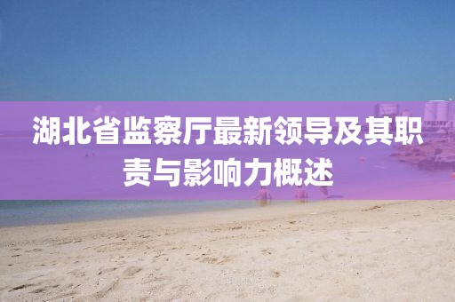 湖北省監(jiān)察廳最新領(lǐng)導(dǎo)及其職責(zé)與影響力概述