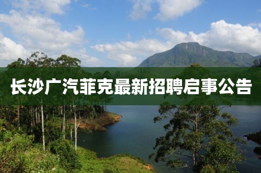 長(zhǎng)沙廣汽菲克最新招聘啟事公告
