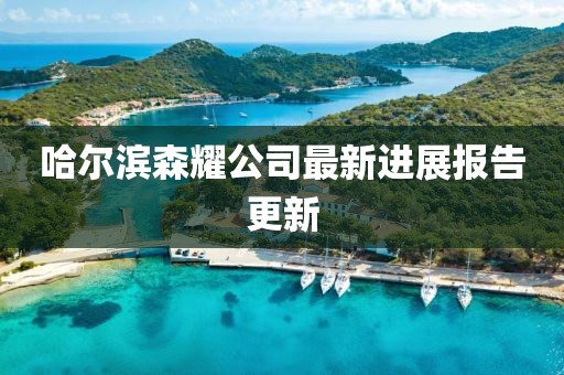 哈爾濱森耀公司最新進(jìn)展報(bào)告更新