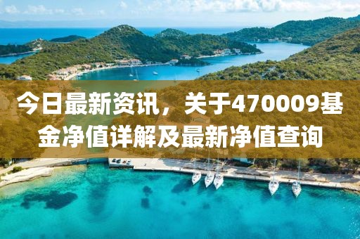 今日最新資訊，關(guān)于470009基金凈值詳解及最新凈值查詢