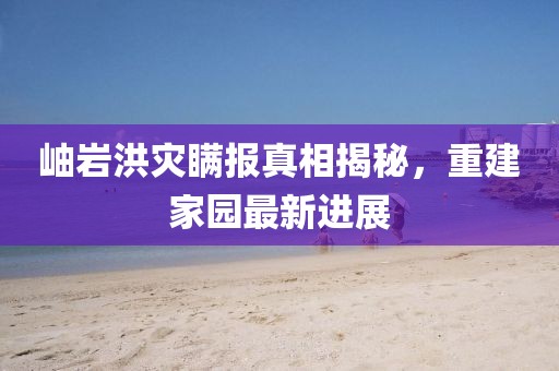 岫巖洪災(zāi)瞞報真相揭秘，重建家園最新進展