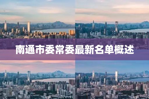 南通市委常委最新名單概述