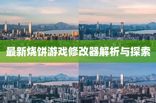 最新燒餅游戲修改器解析與探索
