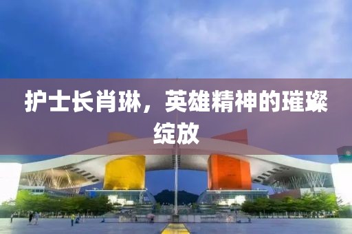 護士長肖琳，英雄精神的璀璨綻放