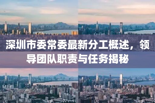 深圳市委常委最新分工概述，領導團隊職責與任務揭秘