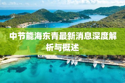 中節(jié)能海東青最新消息深度解析與概述