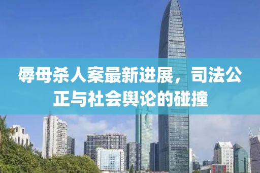 辱母殺人案最新進(jìn)展，司法公正與社會輿論的碰撞