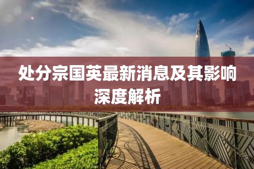 處分宗國英最新消息及其影響深度解析