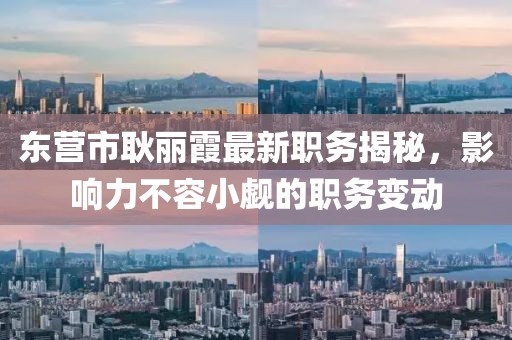 東營市耿麗霞最新職務(wù)揭秘，影響力不容小覷的職務(wù)變動(dòng)