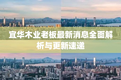 宜華木業(yè)老板最新消息全面解析與更新速遞