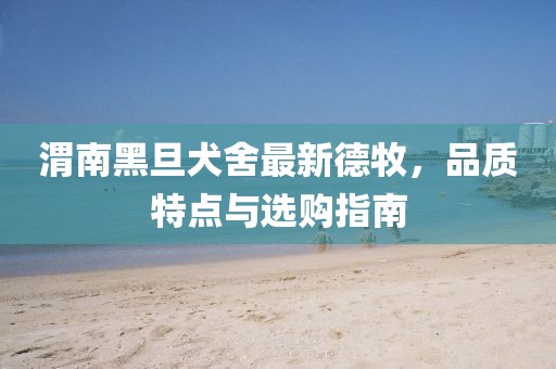 渭南黑旦犬舍最新德牧，品質特點與選購指南