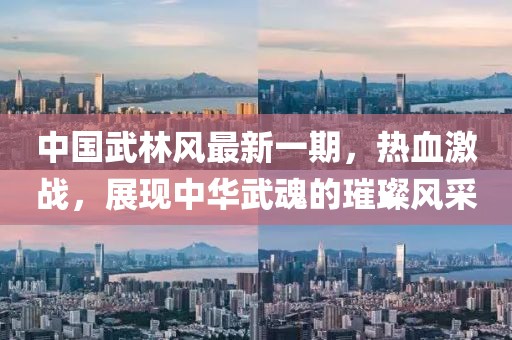 中國(guó)武林風(fēng)最新一期，熱血激戰(zhàn)，展現(xiàn)中華武魂的璀璨風(fēng)采