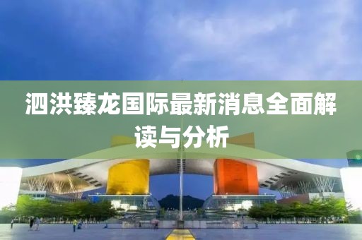 泗洪臻龍國際最新消息全面解讀與分析
