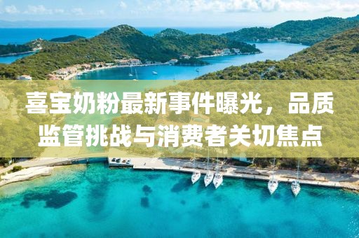 喜寶奶粉最新事件曝光，品質(zhì)監(jiān)管挑戰(zhàn)與消費(fèi)者關(guān)切焦點