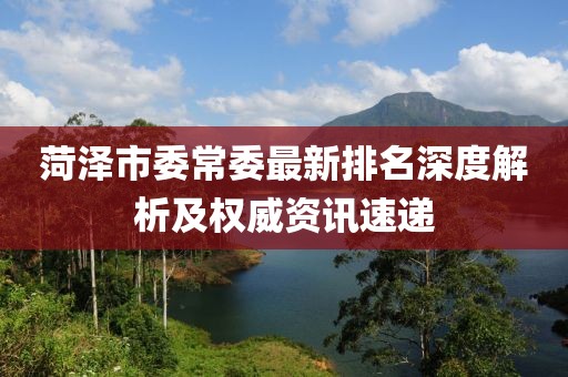 菏澤市委常委最新排名深度解析及權(quán)威資訊速遞