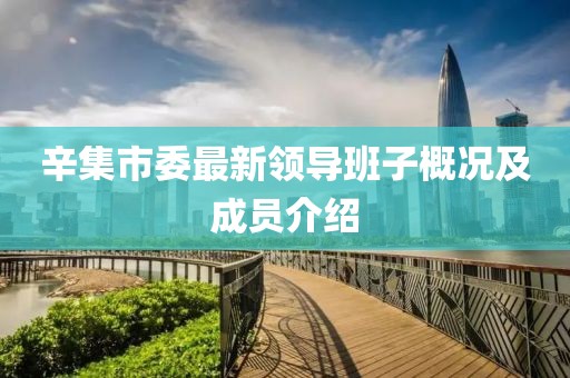 辛集市委最新領(lǐng)導(dǎo)班子概況及成員介紹