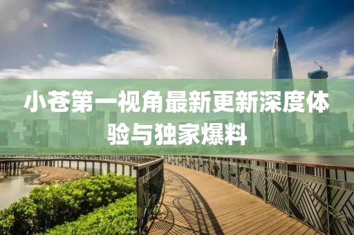 小蒼第一視角最新更新深度體驗與獨家爆料
