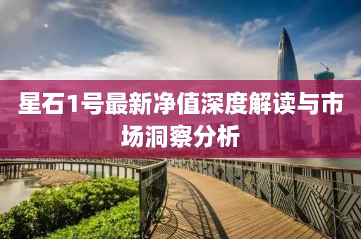 星石1號最新凈值深度解讀與市場洞察分析