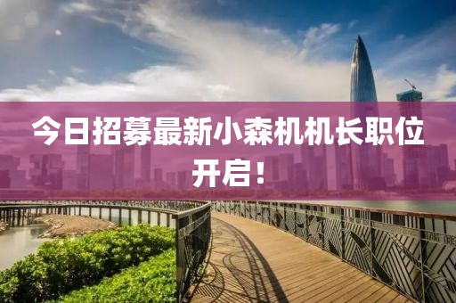 今日招募最新小森機(jī)機(jī)長職位開啟！