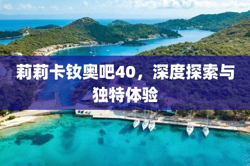 莉莉卡釹奧吧40，深度探索與獨(dú)特體驗(yàn)