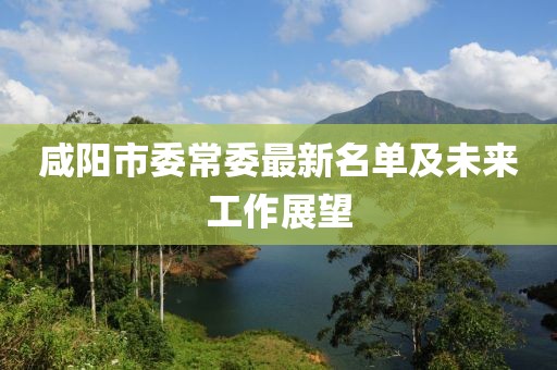 咸陽(yáng)市委常委最新名單及未來(lái)工作展望