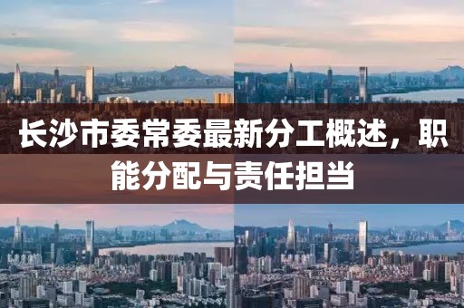 長(zhǎng)沙市委常委最新分工概述，職能分配與責(zé)任擔(dān)當(dāng)