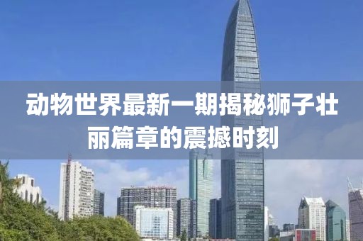 動(dòng)物世界最新一期揭秘獅子壯麗篇章的震撼時(shí)刻