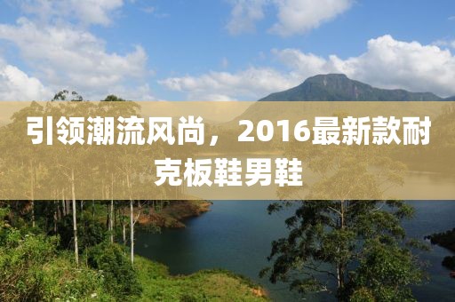 引領(lǐng)潮流風(fēng)尚，2016最新款耐克板鞋男鞋
