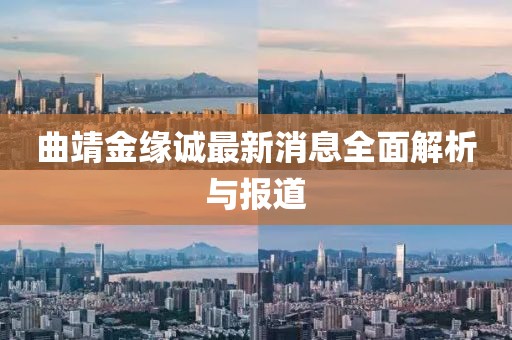 曲靖金緣誠最新消息全面解析與報道