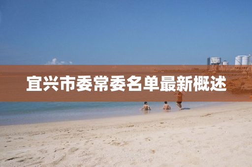 宜興市委常委名單最新概述