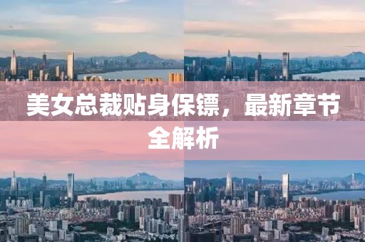美女總裁貼身保鏢，最新章節(jié)全解析