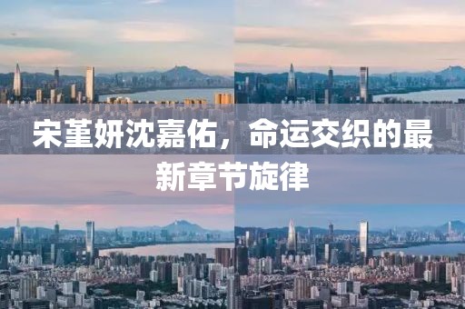 宋堇妍沈嘉佑，命運(yùn)交織的最新章節(jié)旋律