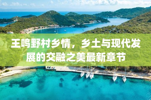 王鳴野村鄉(xiāng)情，鄉(xiāng)土與現(xiàn)代發(fā)展的交融之美最新章節(jié)
