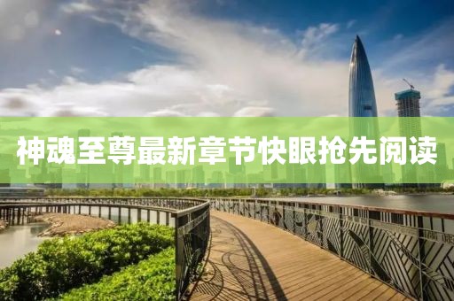 神魂至尊最新章節(jié)快眼搶先閱讀