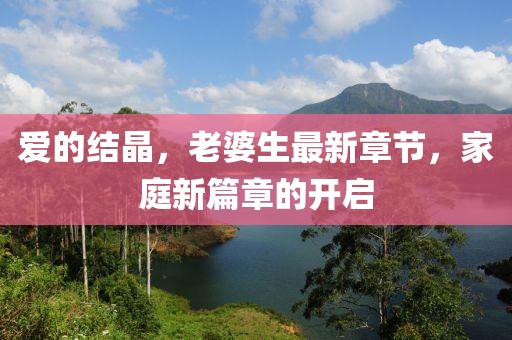 愛的結(jié)晶，老婆生最新章節(jié)，家庭新篇章的開啟
