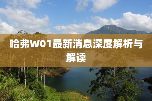 哈弗W01最新消息深度解析與解讀