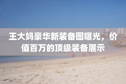 王大媽豪華新裝備圖曝光，價(jià)值百萬的頂級(jí)裝備展示
