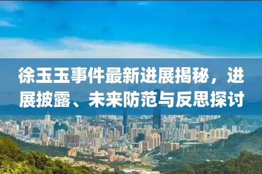 徐玉玉事件最新進展揭秘，進展披露、未來防范與反思探討