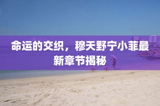 命運(yùn)的交織，穆天野寧小菲最新章節(jié)揭秘