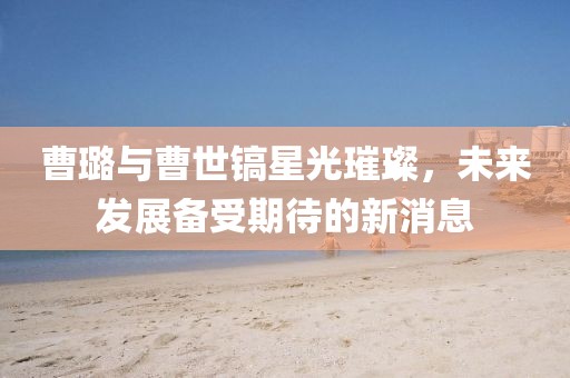 曹璐與曹世鎬星光璀璨，未來發(fā)展備受期待的新消息