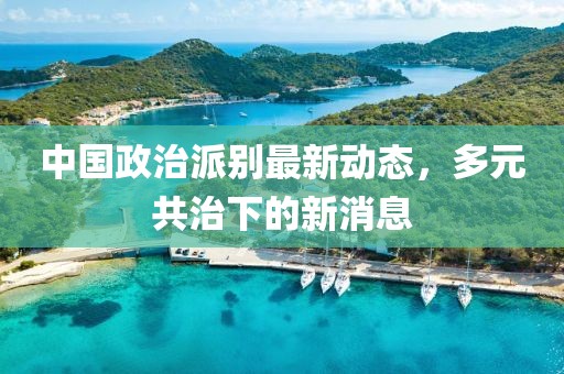 中國(guó)政治派別最新動(dòng)態(tài)，多元共治下的新消息